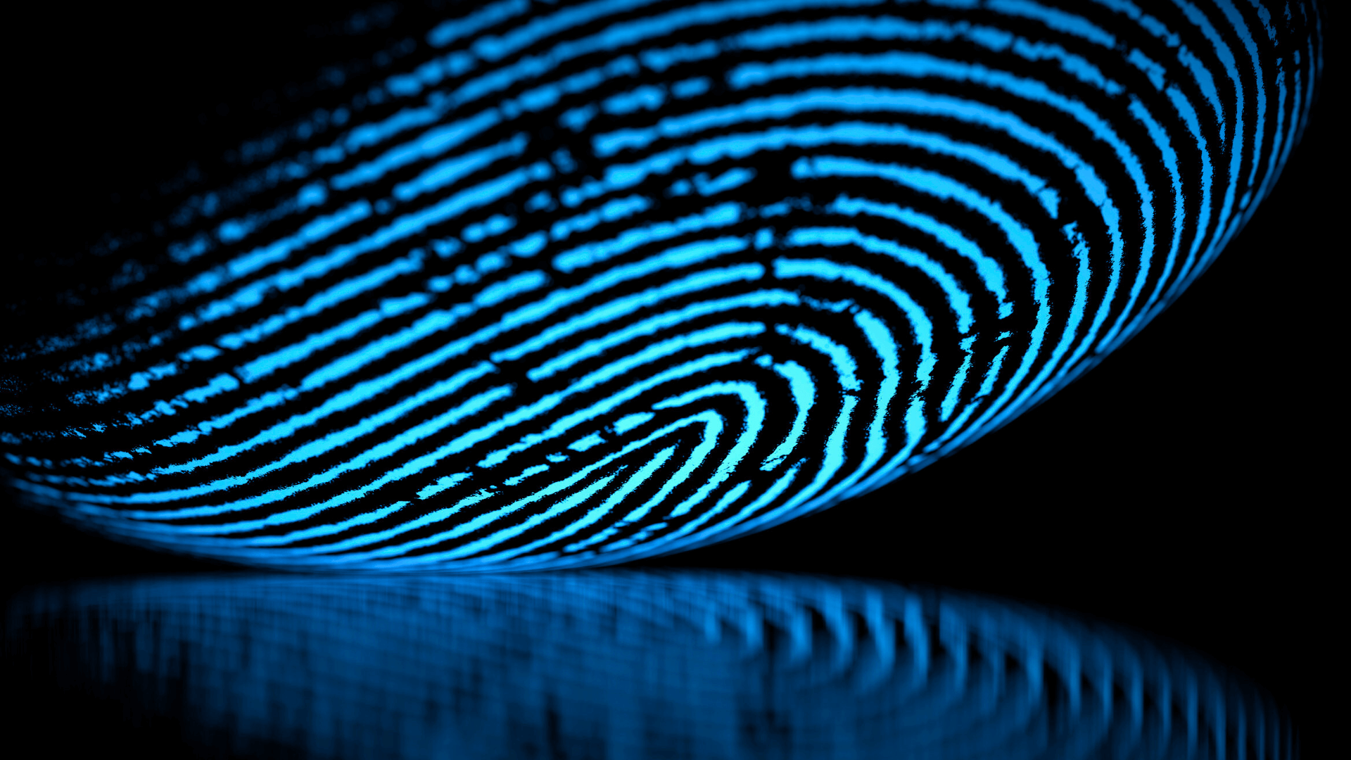 Music Identification and Rights Reporting: How RadioMan Produces Fingerprints and Integrates with a Rights Management System