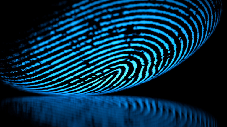 Music Identification and Rights Reporting: How RadioMan Produces Fingerprints and Integrates with a Rights Management System