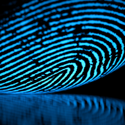Music Identification and Rights Reporting: How RadioMan Produces Fingerprints and Integrates with a Rights Management System